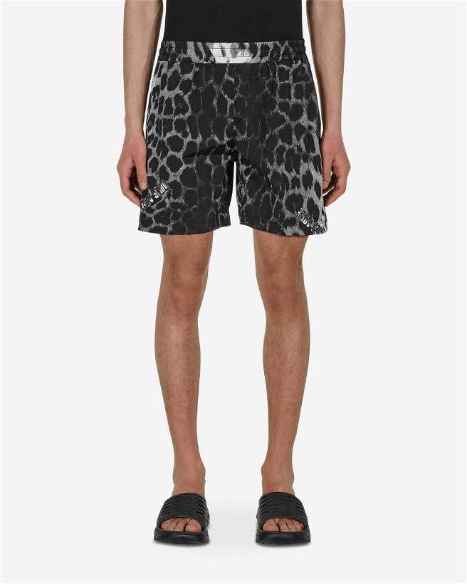 Photo: Leopard Board Shorts