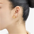 Jil Sander Women's Metal Sphere Earrings in Gold 