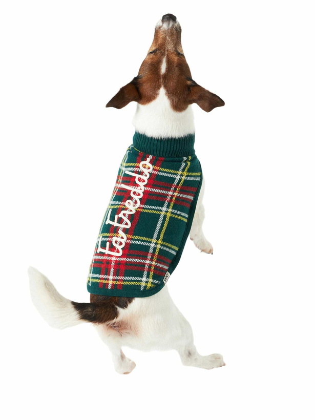 Photo: MC2 Saint Barth Dog Sweater With Tartan Jacquard