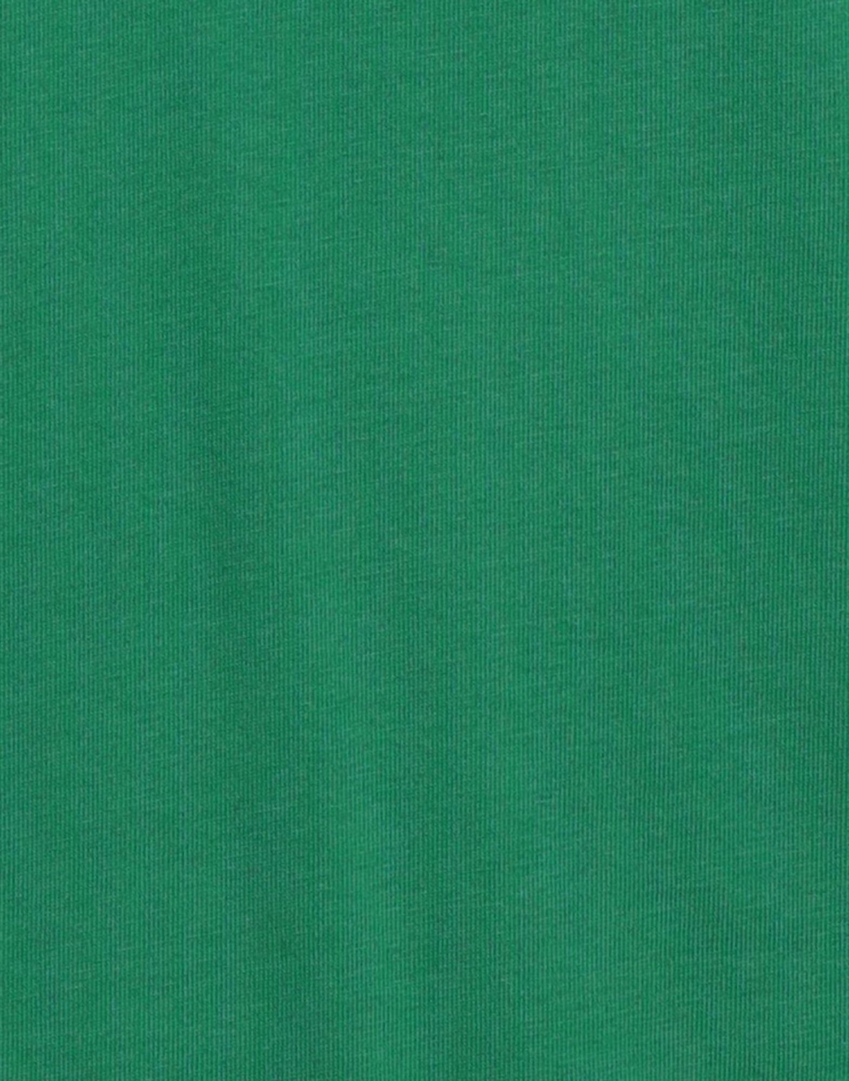 Jordan Mens T-shirt in Green