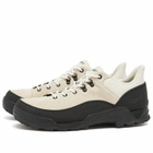 Danner Men's Panorama Low Shoe in Lily/Black
