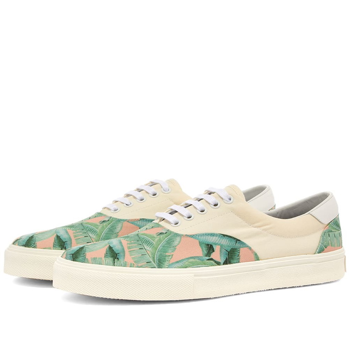 Photo: AMIRI Small Banana Leaf Lace Up Sneaker