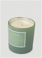 Holiday Collection Figurare Candle in Green