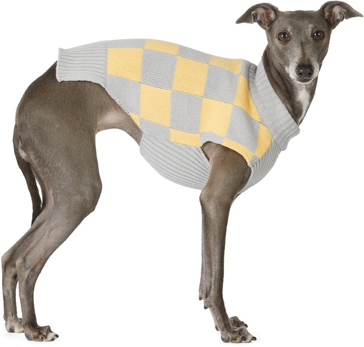 Photo: Merlot Yellow & Gray Bamboo Knit Sweater