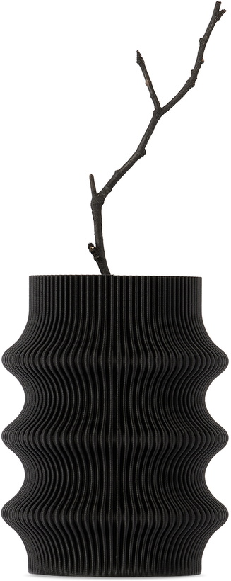 Photo: Sheyn Black Zayl Vase