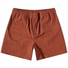 Bode Men's Twill Rugby Short in Brown