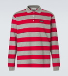 Miu Miu Striped cotton jersey polo shirt