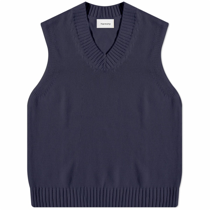 Photo: Harmony Men's Willow Knitted Vest in Navy
