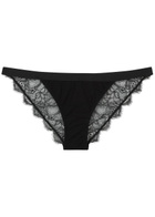 Love Stories Wild Rose Black Lace Briefs
