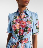 Dolce&Gabbana Floral belted cotton poplin shirt dress