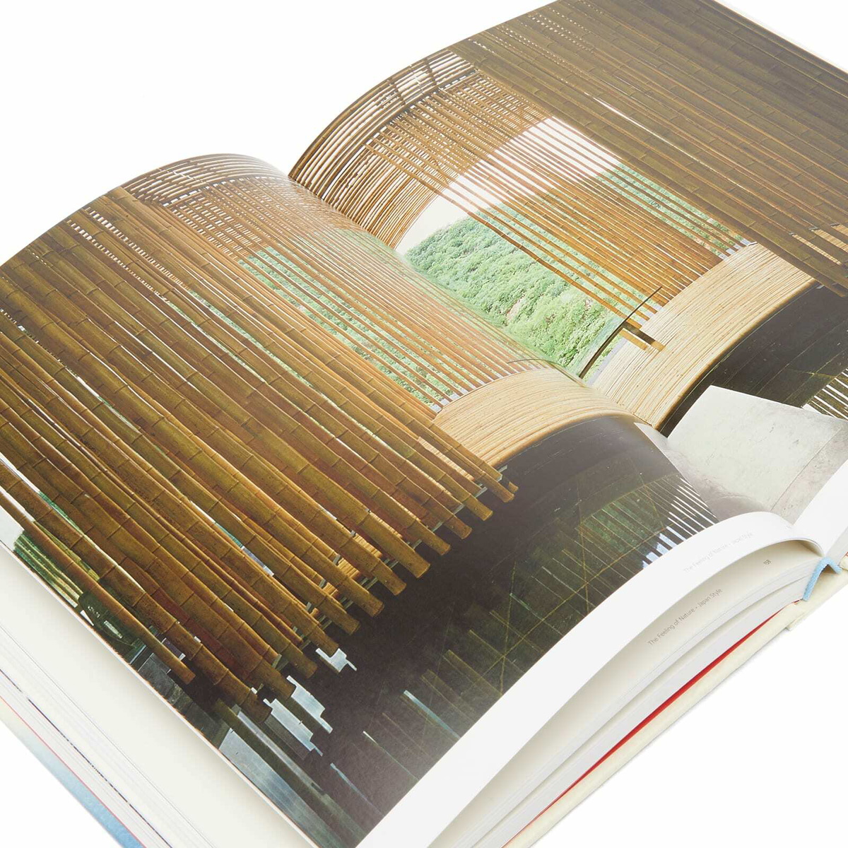 Phaidon Japan Style in Gian Carlo Calza 