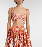 Dolce&Gabbana Majolica cotton poplin crop top