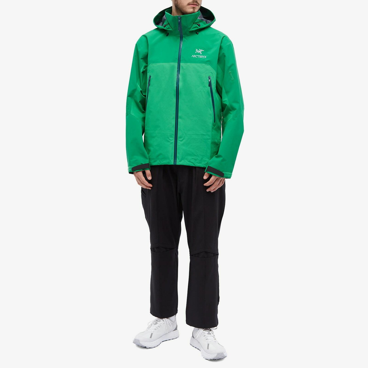 Arc'teryx Men's Beta AR Jacket in Jungle Arc'teryx