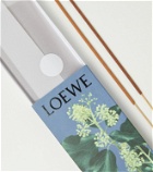 Loewe Home Scents Ivy incense refill sticks