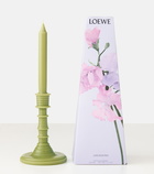 Loewe Home Scents Luscious Pea scented wax candle holder