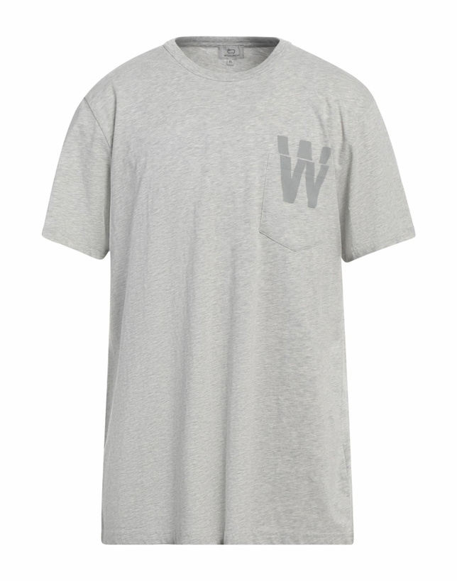 Photo: Woolrich Mens T-shirt Light in Grey
