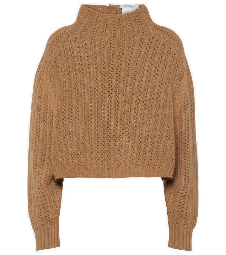 Photo: Max Mara Hodeida wool and cashmere sweater