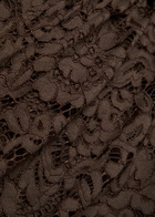 DE LA Vali Bodita Rose-appliquéd Guipure Lace Mini Dress Brown