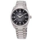 Omega Seamaster Chronograph Automatic Grey Dial Watch 235.10.38.20.06.001