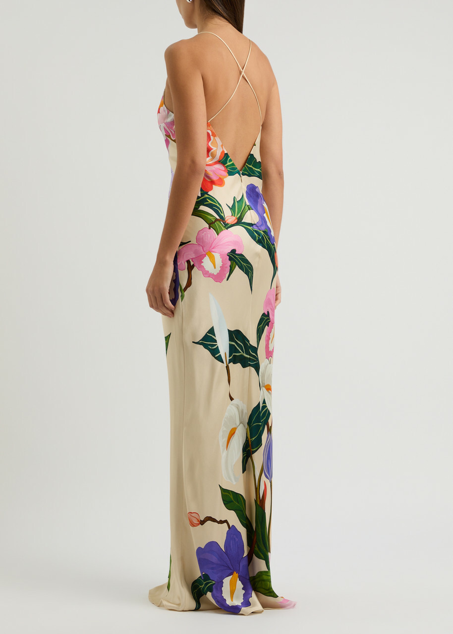 borgo de nor floral evening dress Borgo De Nor Tatiana Dress main image 1