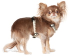 See Scout Sleep Off-White & Black Extra Small Nice Grill Standard Collar