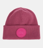 Canada Goose Arctic Toque wool beanie