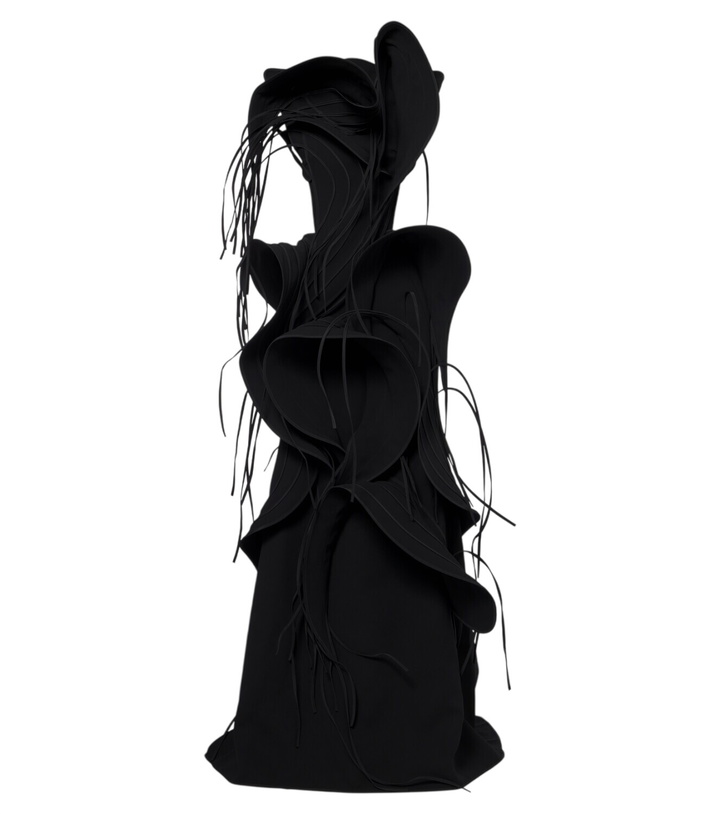 Photo: Maticevski Furiosa fringed appliqué gown
