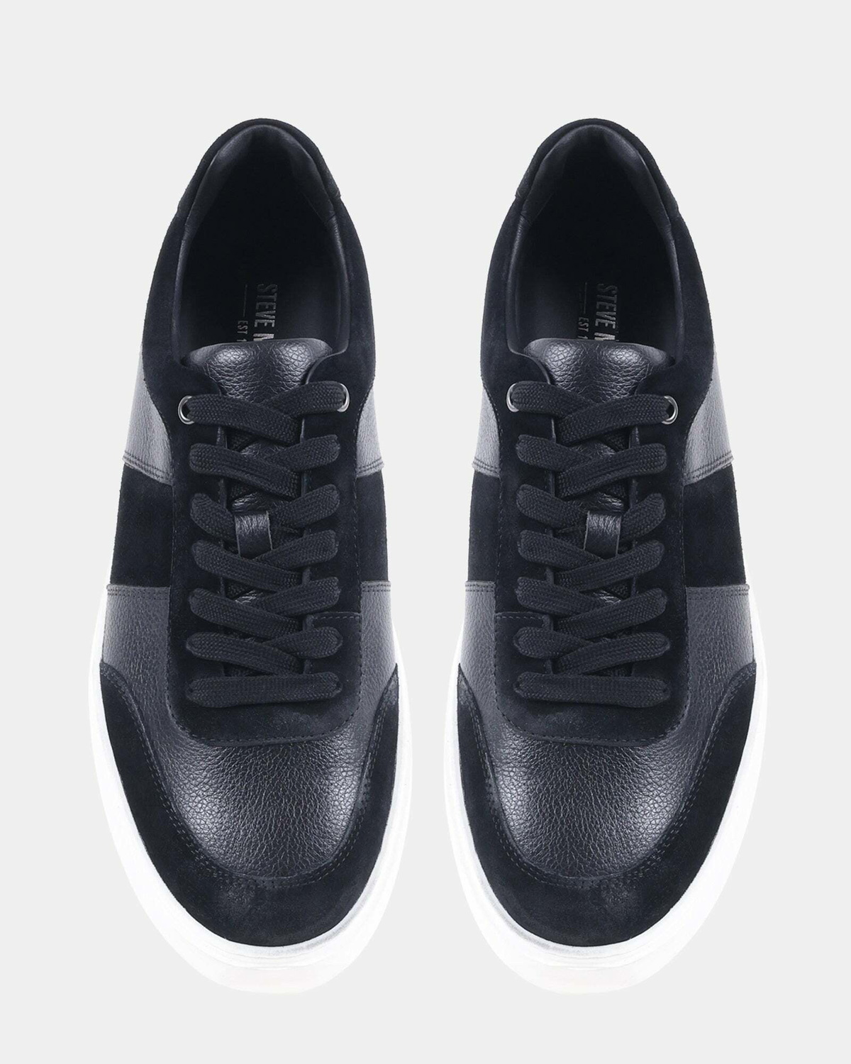 Steve Madden Addler Sneakers in Black