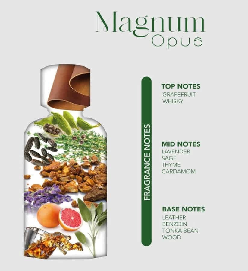 Fragrance World Unisex Opus Magnum EDP Spray 3.38 oz Fragrances 6290360379340