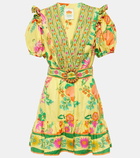 Farm Rio Delicate Fruit Garden cotton minidress