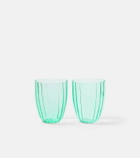 Dolce&Gabbana Casa Set of 2 glass tumblers