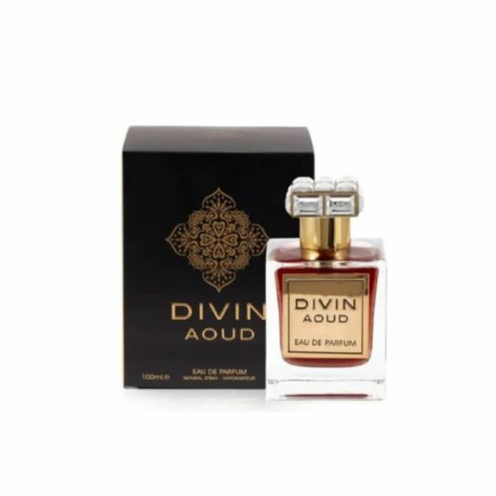 Photo: Fragrance World Unisex Divin Aoud EDP Spray 3.4 oz Fragrances 6291108322093