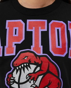 Mitchell & Ness Womens Logo Ss Tee Toronto Raptors Black - Womens - Shortsleeves