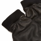 Hestra Men's Tore Gloves in Black