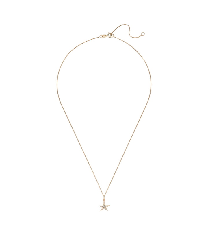 Photo: Stone and Strand Lucky Starfish 14kt gold pendant necklace with diamonds
