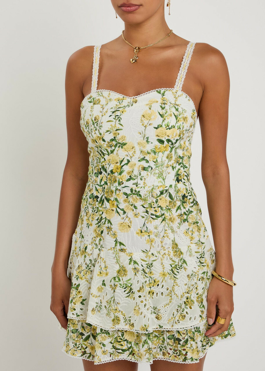 Alice + Olivia Meredith Floral-embroidered Cotton Mini Dress Multicoloured