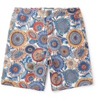 Onia - Calder Long-Length Printed Swim Shorts - Multi