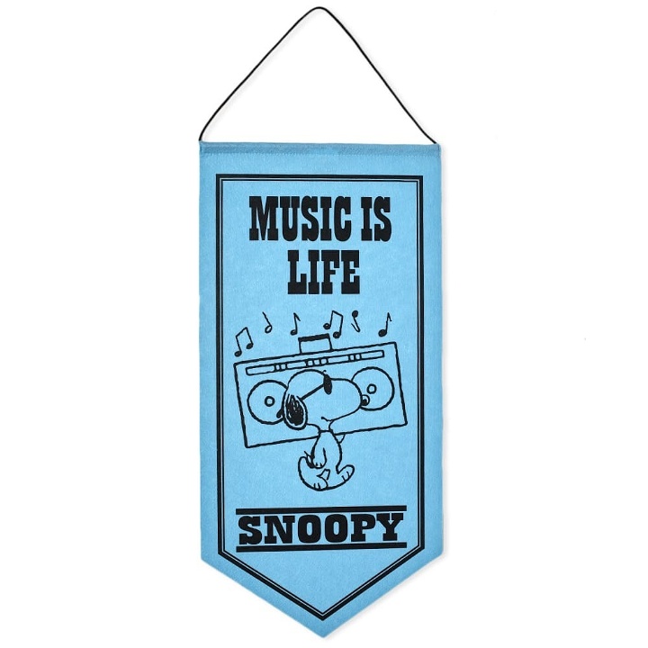 Photo: Peanuts Pennant in Music