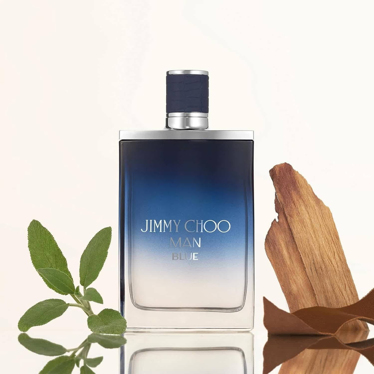 Jimmy Choo Man Blue / Jimmy Choo EDT Spray 3.3 oz (100 ml) (m)