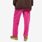 Stylerunner Women's Median Straight Leg Jogger Pant in Hibiscus