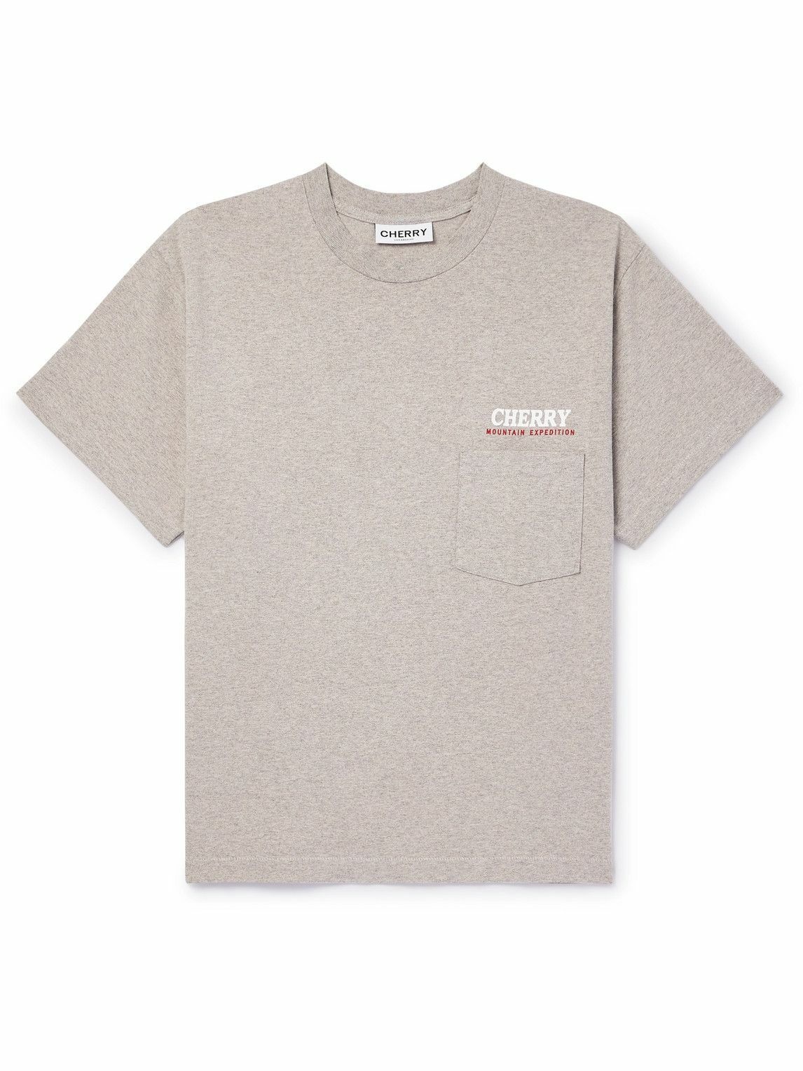Photo: Cherry Los Angeles - Mountain Expedition Garment-Dyed Logo-Print Cotton-Jersey T-Shirt - Neutrals