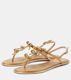 Rene Caovilla Bow-detail leather thong sandals