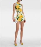 Dolce&Gabbana Floral high-rise cotton shorts