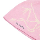 Arc'teryx Bird Head Toque in Pineberry/Sea Salt 