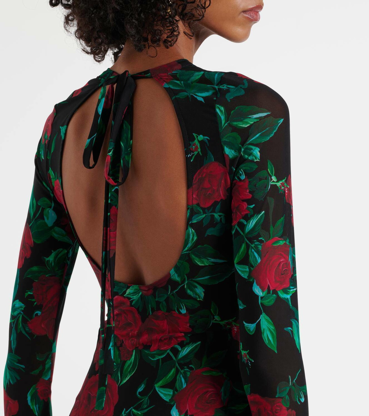 Alexandra Miro Selene floral mesh maxi dress Alexandra Miro
