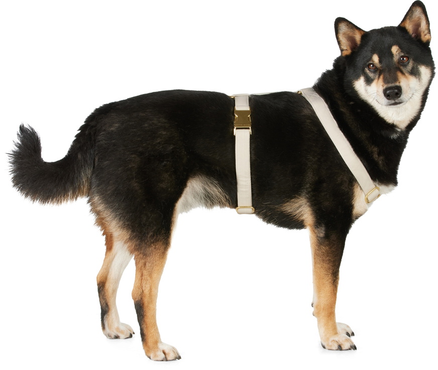 See Scout Sleep Beige 'The Scot' Medium Standard Harness