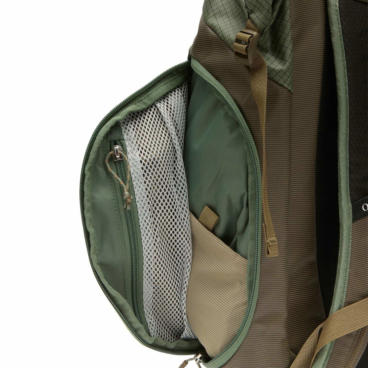 Osprey Transporter Zinch Backpack in Pine Leaf/Earl Grey 