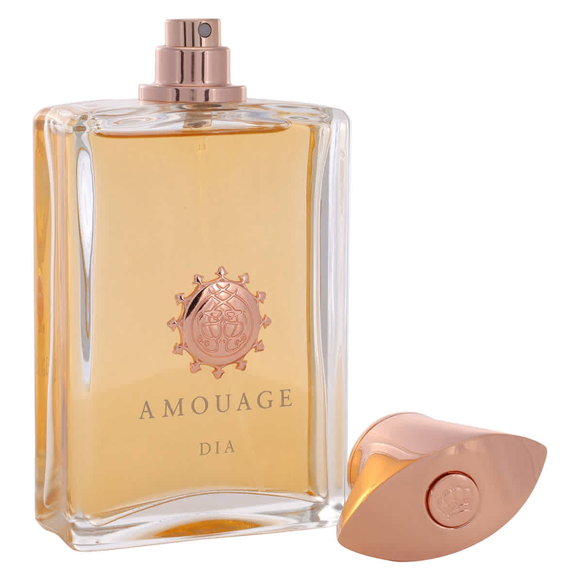 Amouage Mens Dia EDP Spray 3.4 oz (100 ml)