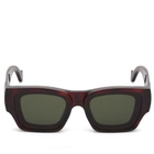 Loewe Eyewear Paula's Ibiza Wayfarer Sunglasses in Havana/Green 