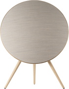 Bang & Olufsen Gray & Gold Beosound A9 Speaker
